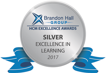 Silver Excellence Award for Custom Content Development