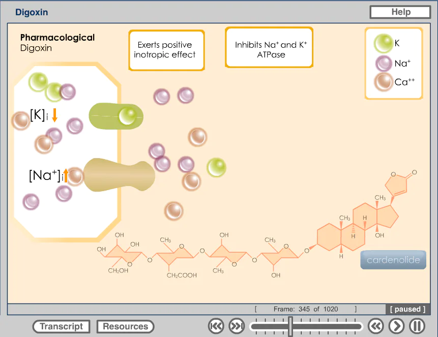 interpretive graphics